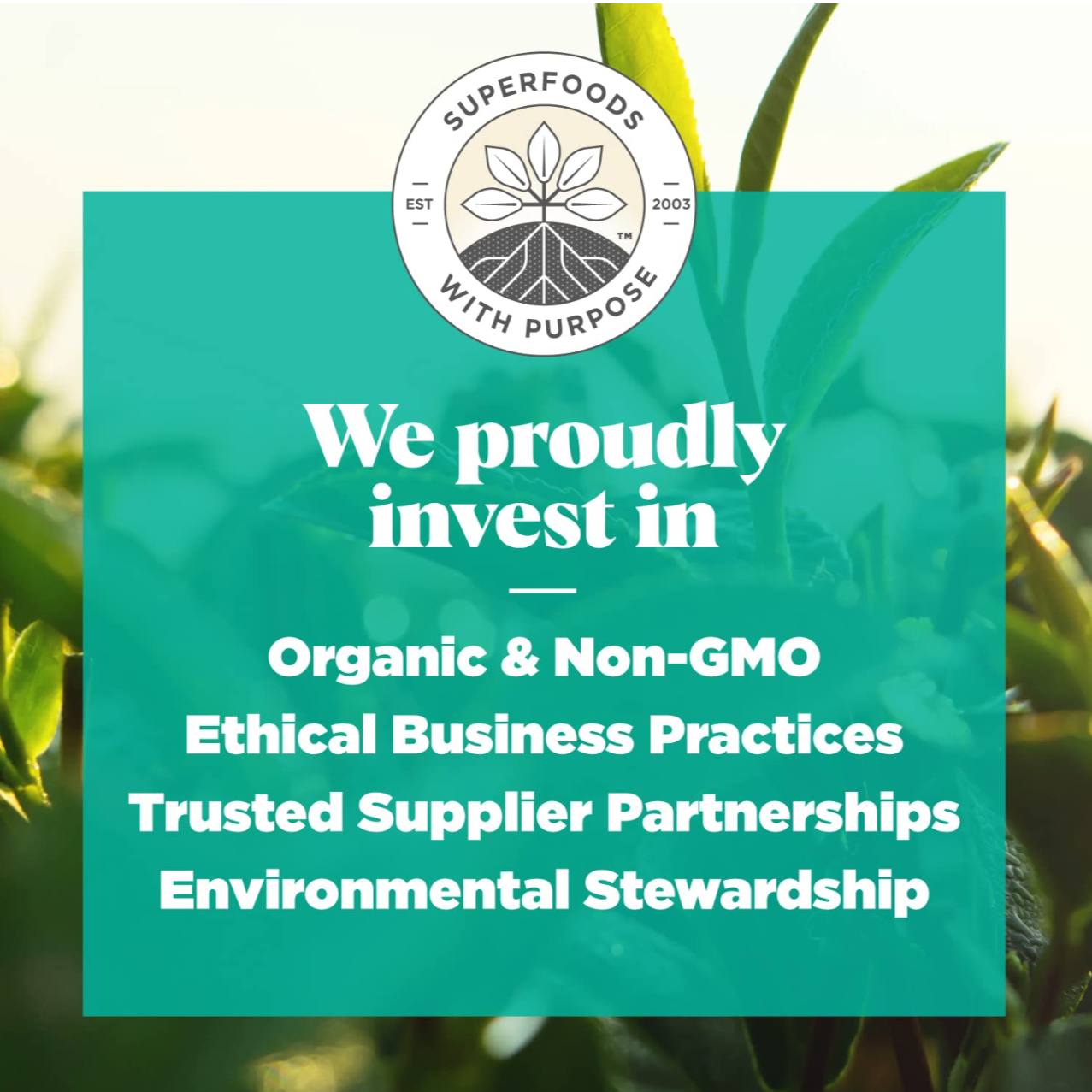 photo_2025-08-09_11-53-42